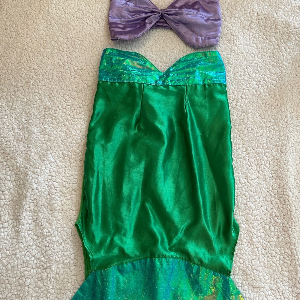 Disney Princess Ariel Little Mermaid Prince Green and Pink Princess Costume
